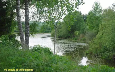 + Annexes + Écurie Spacieuse