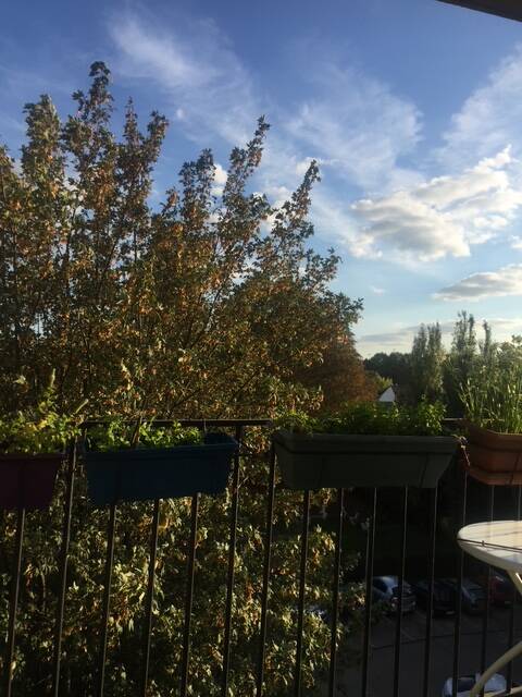 Champigny-Sur-Marne (94500)