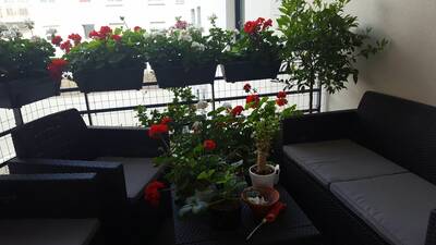 Vente appartement 2 pièces Viroflay (78220)