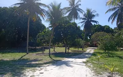 Brésil