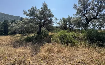 Grèce