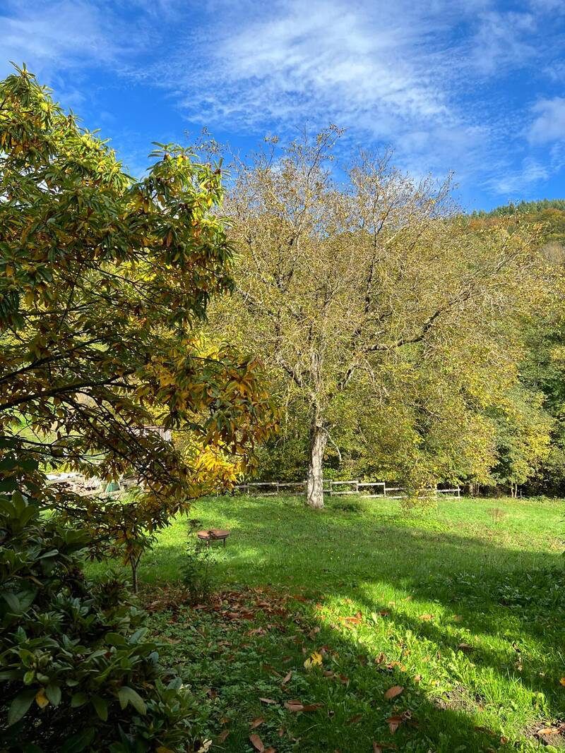 Linthal (68610)