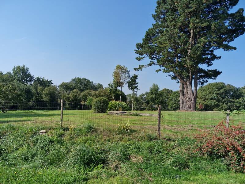 Mellac (29300)