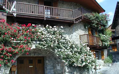 Champcella (05310)