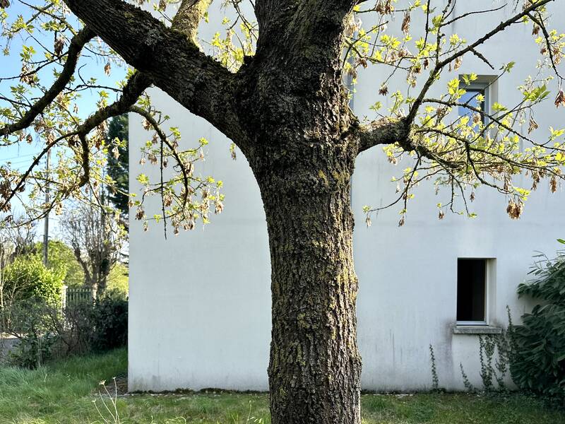 Luzarches (95270)
