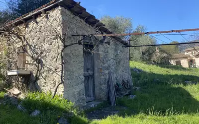 Peymeinade (06530)