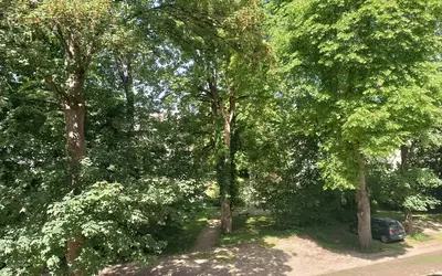 Chaville (92370)