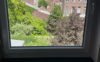 Lille (59)