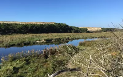 Viabilisé - À 3Km De L'océan
