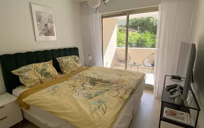 Cannes (06150)