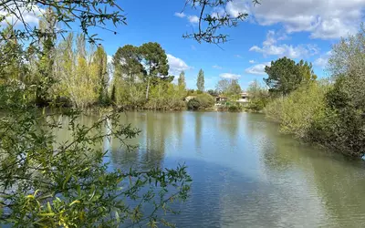 Pessac (33600)