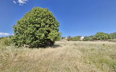 Carcès (83570)