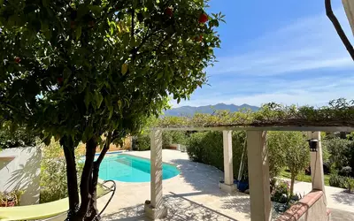 Banyuls-Dels-Aspres (66300)