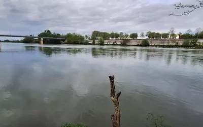 Toulouse (31000)
