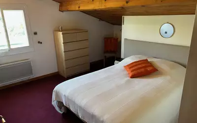 Soupex (11320)