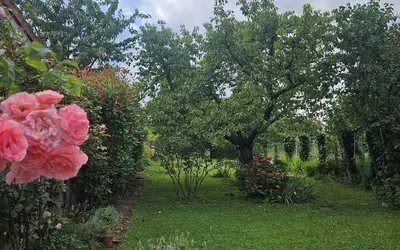 Vitry-Sur-Seine (94400)