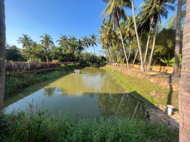 Thaïlande