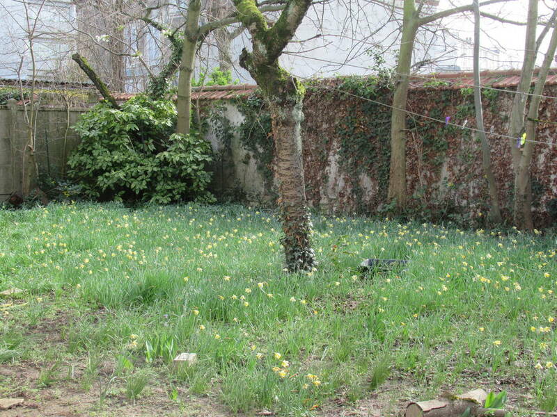 Saint-Maur-Des-Fossés (94100)