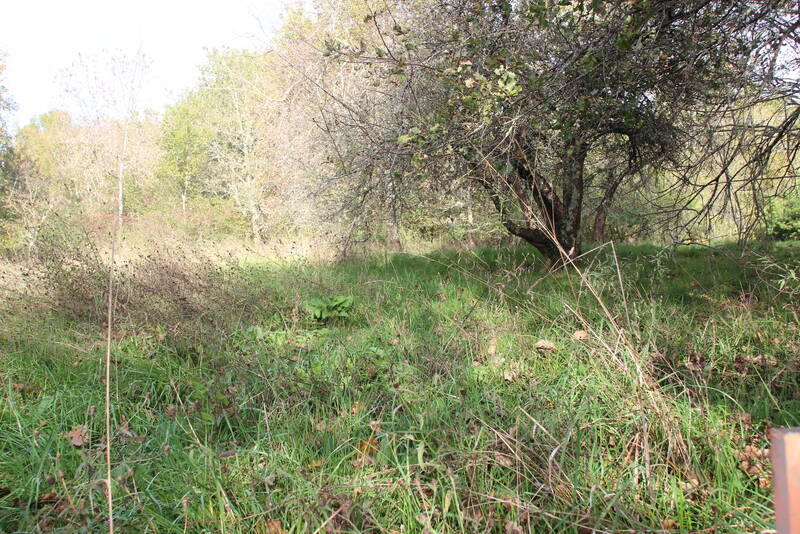 Saint-Astier (24110)