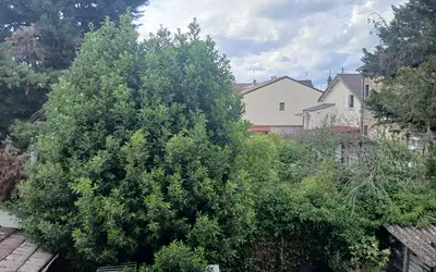Argenteuil (95100)