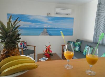 Vente appartement 3 pièces Saint-François (97118)
