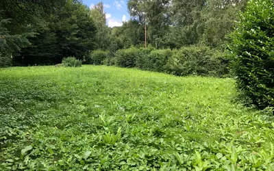 Bézu-La-Forêt (27480)