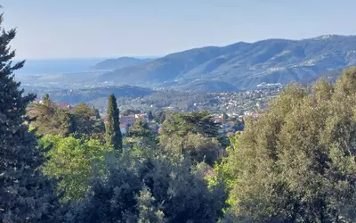 Grasse
