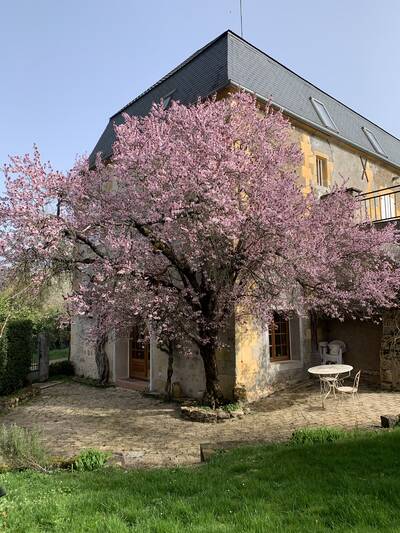 Vente maison 15 pièces Saint-Sulpice (58270)