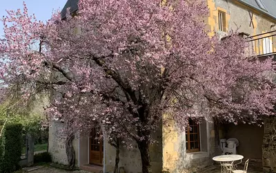 Saint-Sulpice (58270)