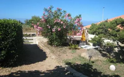 Olmeto (20113)