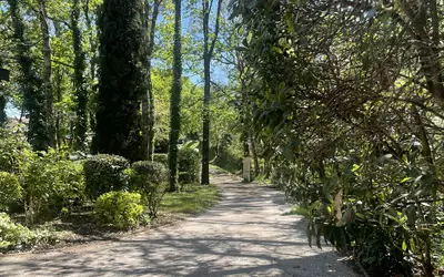 La Salvetat-Saint-Gilles (31880)