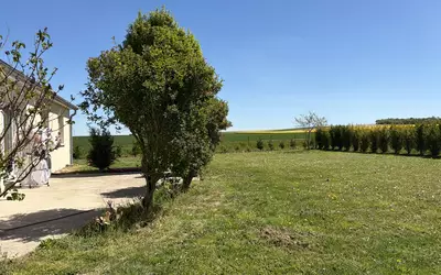 Saint-Étienne-À-Arnes (08310)