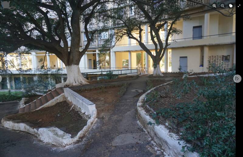 Hydra  / Alger