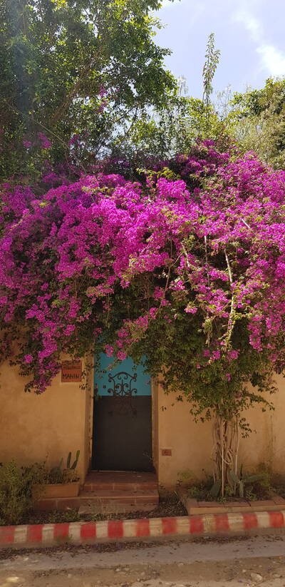 Vente maison 9 pièces Algérie