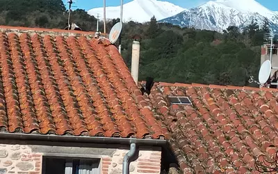 Céret (66400)