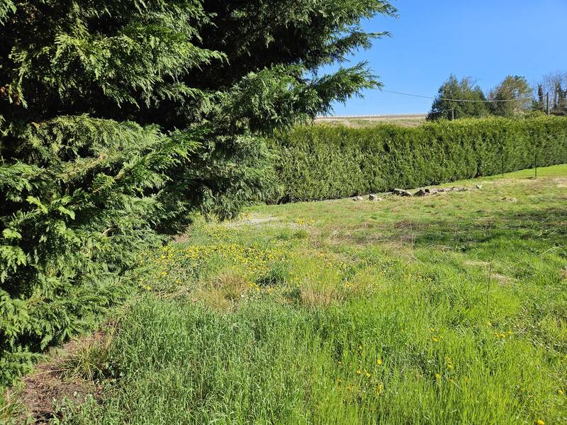 Perdreauville (78200)