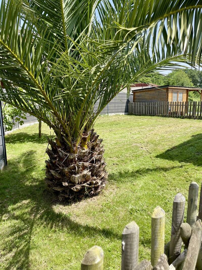 Saint-Jean-De-Marsacq (40230)