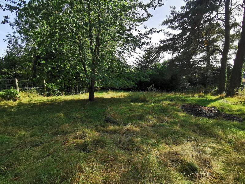 Saint-Leu-La-Forêt (95320)