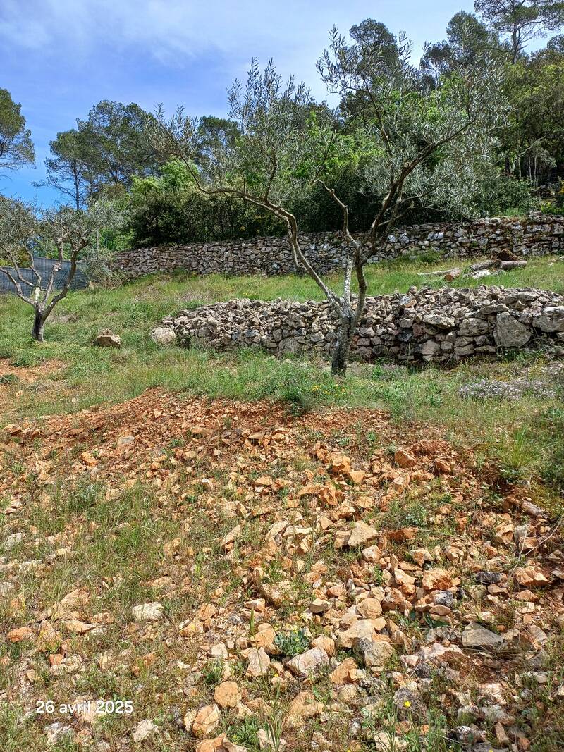Cabasse (83340)