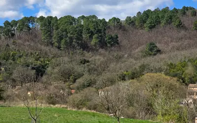 Saint-Martin-De-Valgalgues (30520)