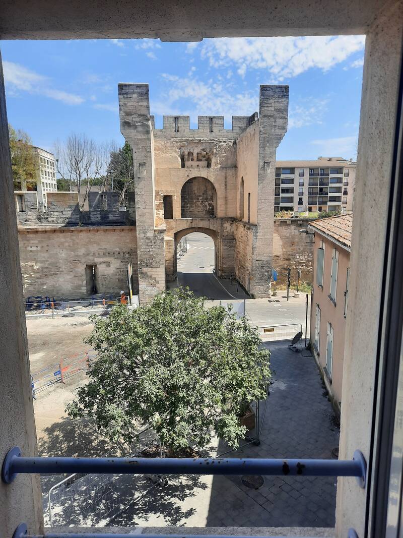 Avignon