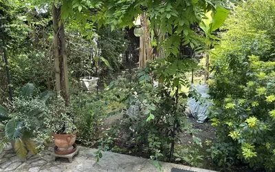 Bagnolet (93170)