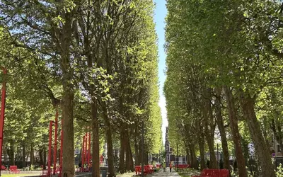 Lille (59000)