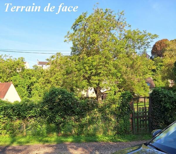 Pontoise (95000)