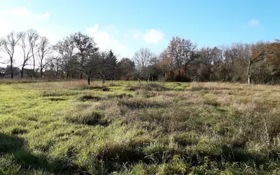 Bélâbre (36370)