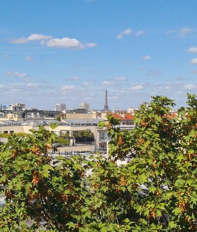 Location appartement 4 pièces Montrouge (92120)