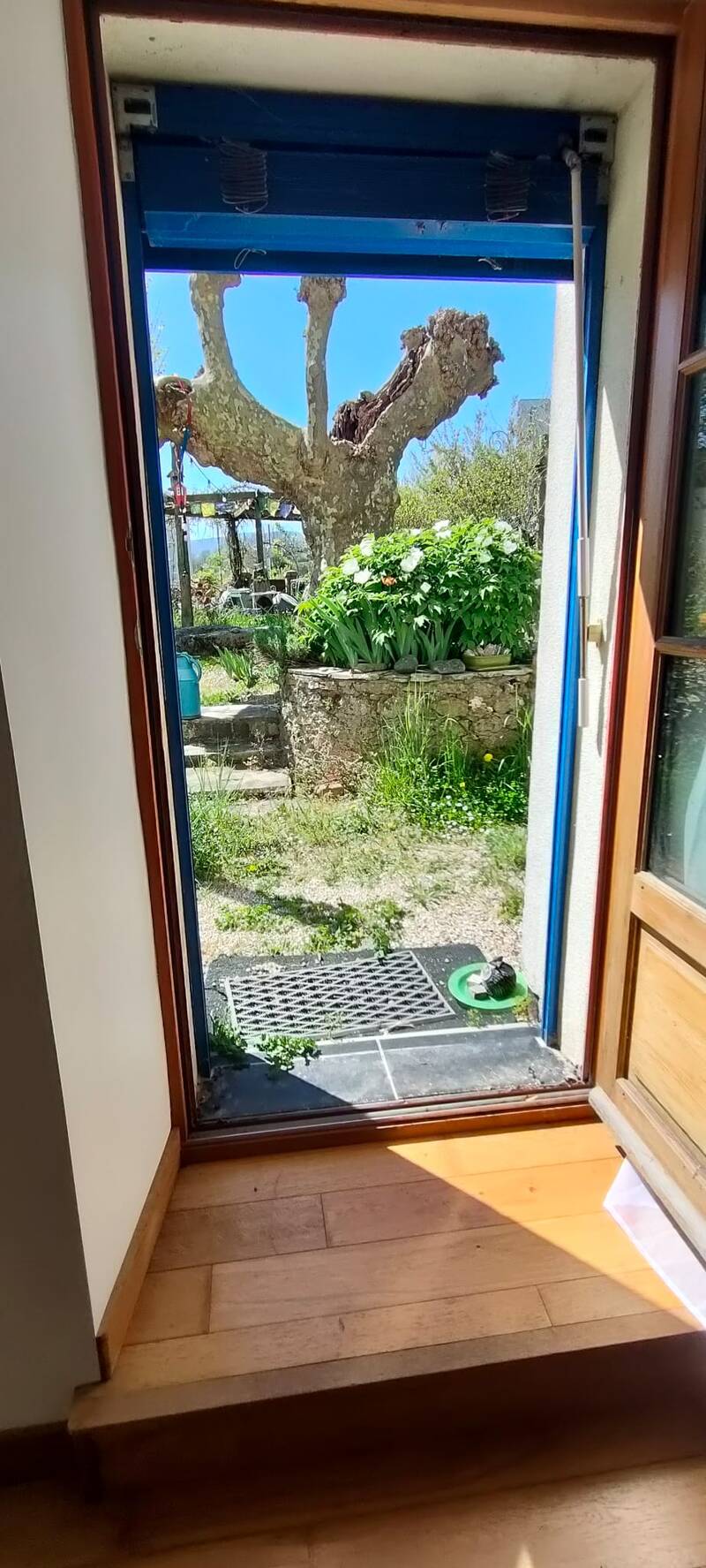 Pougny (01550)