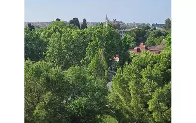 Montpellier (34000)