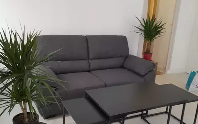 Direct Propriétaire T2 Meublé Massena Lyon 6Ème