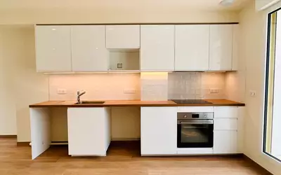Suresnes (92150)